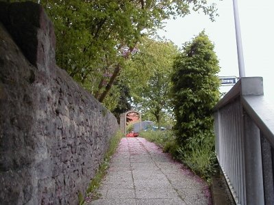 Lindenweg
Keywords: Dietzenbach Rundgang Spaziergang FrÃ¼hling Lindenweg