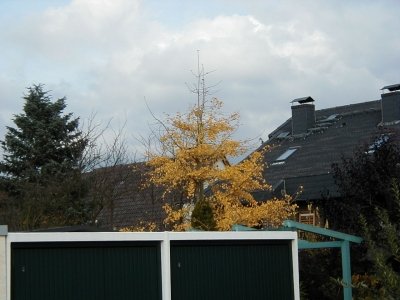 FeldstraÃŸe
Keywords: Dietzenbach Rundgang Spaziergang Herbst FeldstraÃŸe