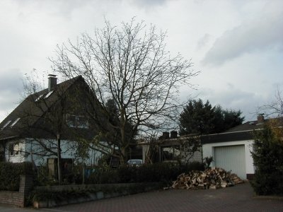 FeldstraÃŸe
Keywords: Dietzenbach Rundgang Spaziergang Herbst FeldstraÃŸe