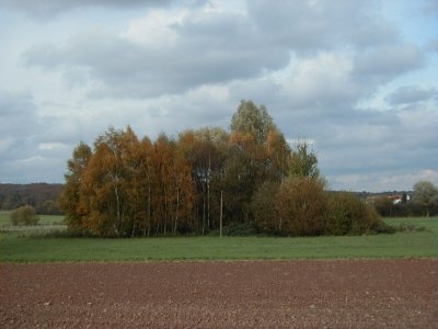 FeldstraÃŸe
Keywords: Dietzenbach Rundgang Spaziergang Herbst FeldstraÃŸe