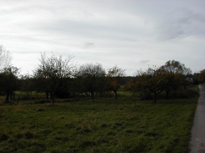 FeldstraÃŸe
Keywords: Dietzenbach Rundgang Spaziergang Herbst FeldstraÃŸe