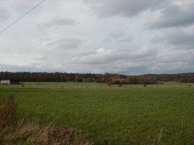 FeldstraÃŸe
Keywords: Dietzenbach Rundgang Spaziergang Herbst FeldstraÃŸe