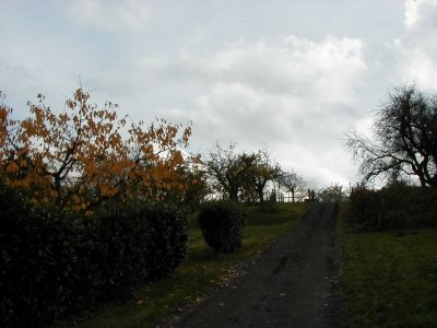 Wingertsberg
Keywords: Dietzenbach Rundgang Spaziergang Herbst Wingertsberg