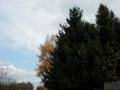 Wingertsberg
Keywords: Dietzenbach Rundgang Spaziergang Herbst Wingertsberg