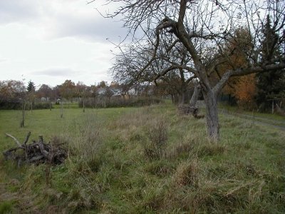 GÃ¶tzenhainer StraÃŸe - Kreisquerverbindung
Keywords: Dietzenbach Rundgang Spaziergang Herbst GÃ¶tzenhainer StraÃŸe Kreisquerverbindung