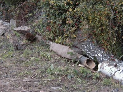 Kreisquerverbindung
Keywords: Dietzenbach Rundgang Spaziergang Herbst Kreisquerverbindung