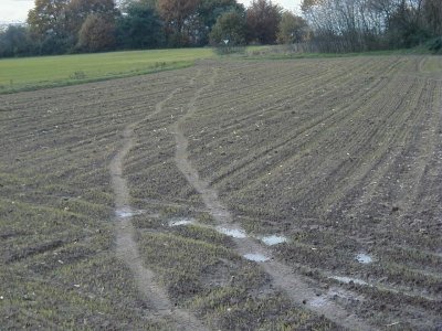 Kreisquerverbindung
Keywords: Dietzenbach Rundgang Spaziergang Herbst Kreisquerverbindung