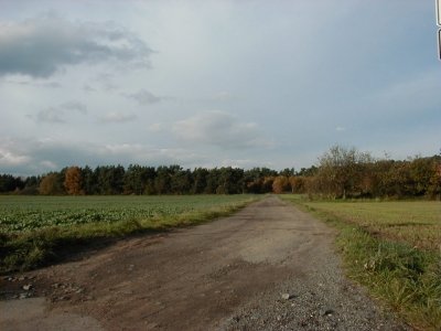 Schafwiese
Keywords: Dietzenbach Rundgang Spaziergang Herbst Schafwiese