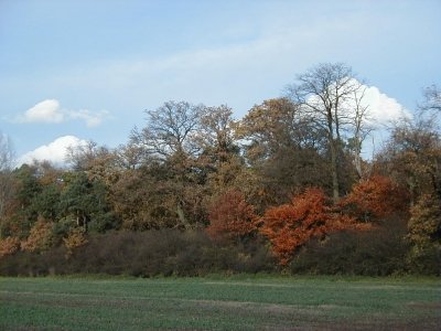 Schafwiese
Keywords: Dietzenbach Rundgang Spaziergang Herbst Schafwiese