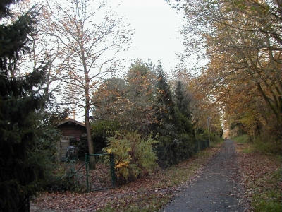 Steinberg - EtruskerstraÃŸe
Keywords: Dietzenbach Rundgang Spaziergang Herbst Steinberg EtruskerstraÃŸe