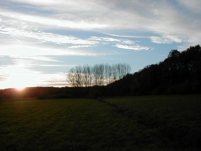 Steinberg
Keywords: Dietzenbach Rundgang Spaziergang Herbst Steinberg