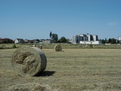 Kreisquerverbindung
Keywords: Dietzenbach Rundgang Spaziergang Sommer Kreisquerverbindung