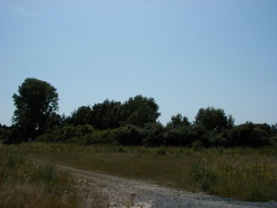 Sandhorst
Keywords: Dietzenbach Rundgang Spaziergang Sommer Sandhorst