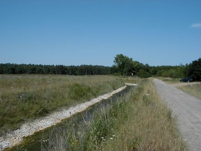 Gottlieb-Daimler-StraÃŸe - RegenrÃ¼ckhaltebecken
Keywords: Dietzenbach Rundgang Spaziergang Sommer Gottlieb Daimler StraÃŸe RegenrÃ¼ckhaltebecken