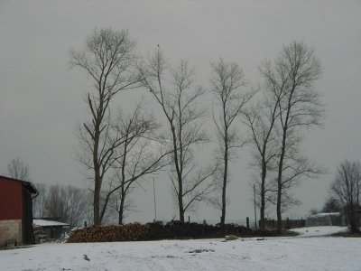 Ober Rodener StraÃŸe
Keywords: Dietzenbach Rundgang Spaziergang Winter Ober Rodener StraÃŸe