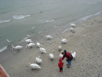 Keywords: Ostsee KÃ¼ste Insel RÃ¼gen Binz