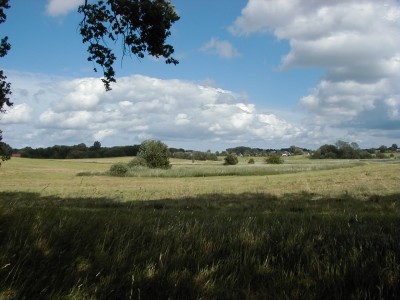 Keywords: Ostsee KÃ¼ste Insel RÃ¼gen Neuendorf