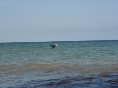 Keywords: Ostsee KÃ¼ste Insel RÃ¼gen Jasmund SteilkÃ¼ste