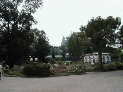 Keywords: Frankfurt Main Palmengarten Pflanzen Blumen Pflanze Blume