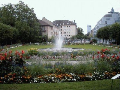 Keywords: Frankfurt Main Palmengarten Pflanzen Blumen Pflanze Blume